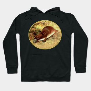 Platypus Hoodie